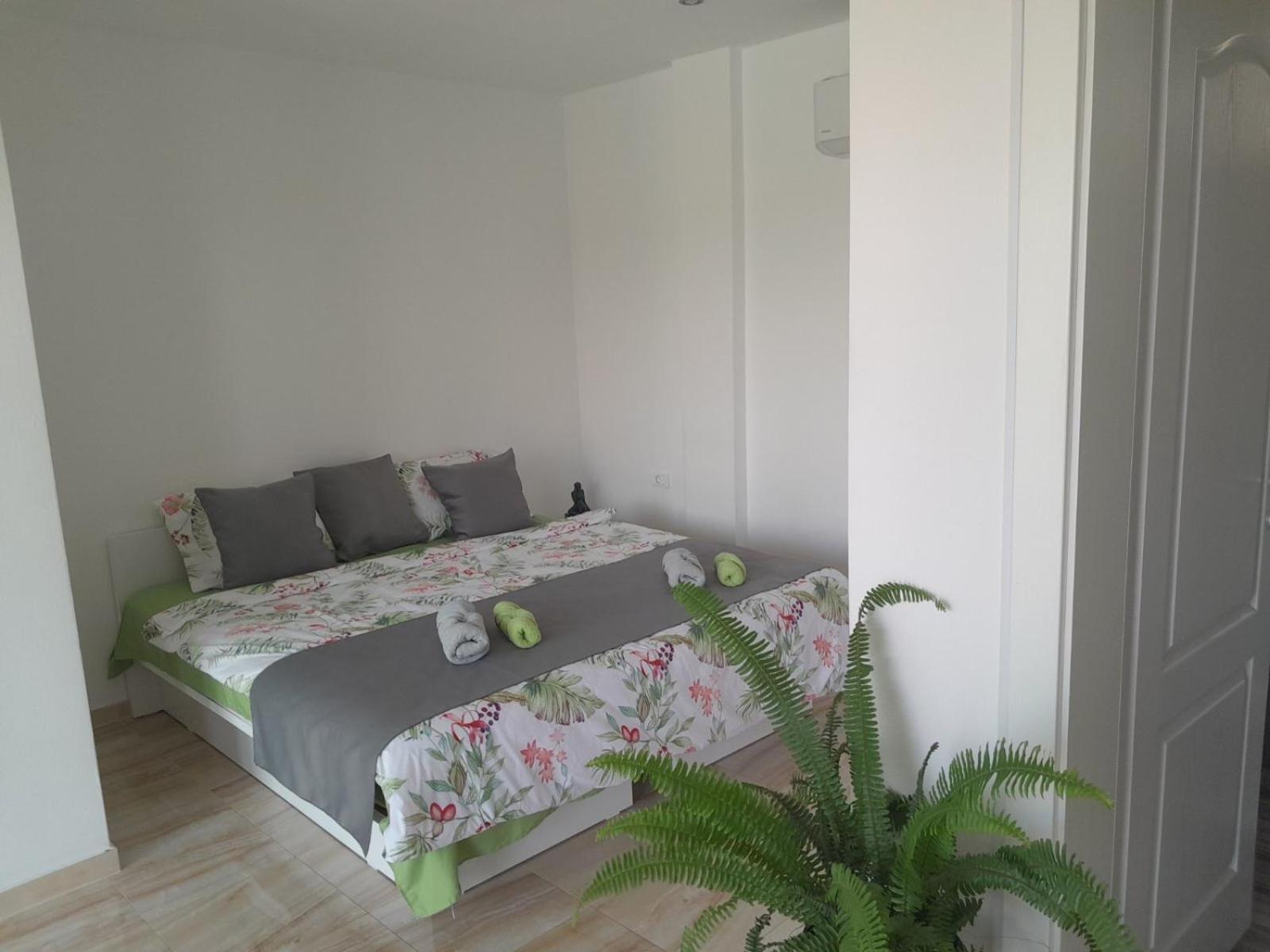 Villa Dimo Topal 奥赫里德 外观 照片